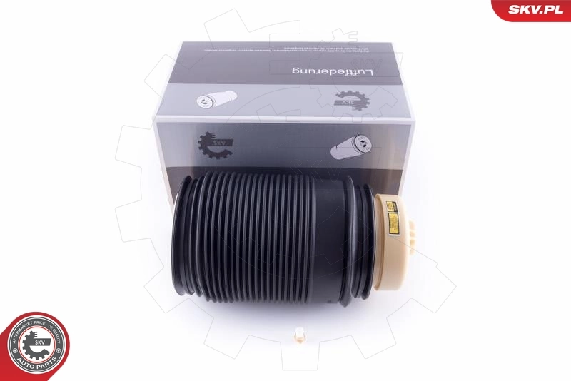 Air Spring, suspension